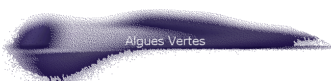 Algues Vertes