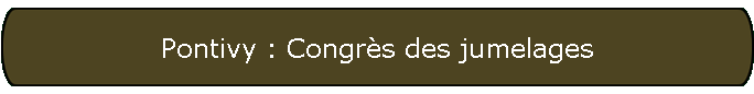 Pontivy : Congrs des jumelages