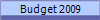 Budget 2009